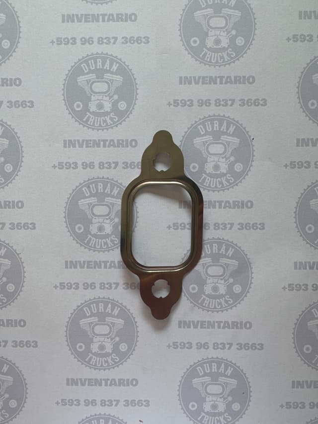 EMPAQUE DE MULTIPLE DE ESCAPE LATA 4BT 6BT